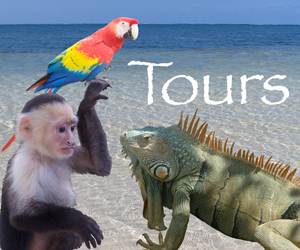 Roatan tour guide